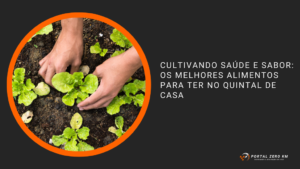 Cultivando Saúde e Sabor: Os Melhores Alimentos para Ter no Quintal de Casa